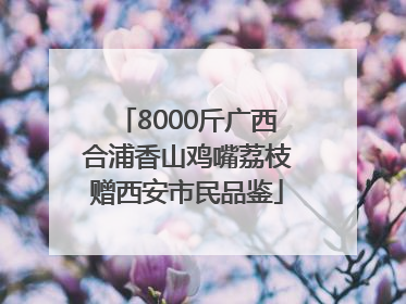 8000斤广西合浦香山鸡嘴荔枝赠西安市民品鉴