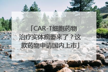 CAR-T细胞药物治疗实体瘤要来了？这款药物申请国内上市