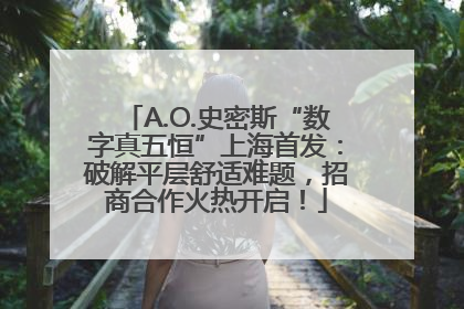 A.O.史密斯“数字真五恒”上海首发：破解平层舒适难题，招商合作火热开启！