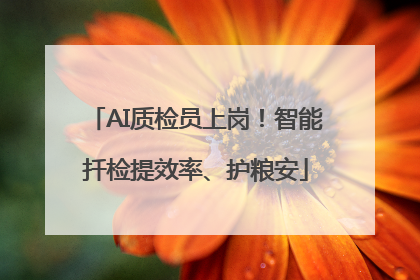 AI质检员上岗！智能扦检提效率、护粮安