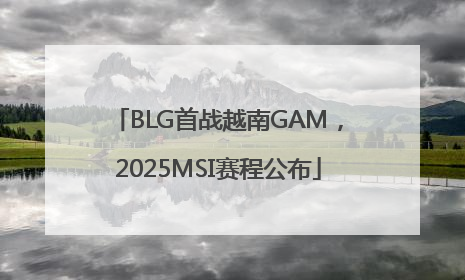 BLG首战越南GAM，2025MSI赛程公布