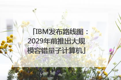 IBM发布路线图：2029年前推出大规模容错量子计算机