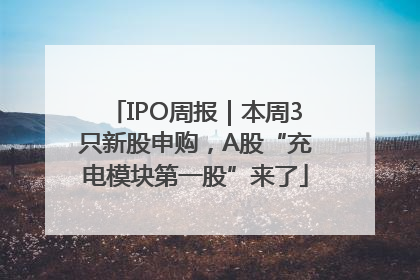 IPO周报｜本周3只新股申购，A股“充电模块第一股”来了