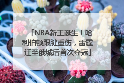 NBA新王诞生！哈利伯顿跟腱重伤，雷霆迁至俄城后首次夺冠
