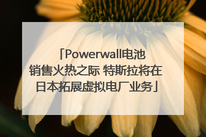 Powerwall电池销售火热之际 特斯拉将在日本拓展虚拟电厂业务